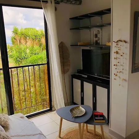 Beau Et Confortable 2 Pieces Vue Mer/maquis لوميو