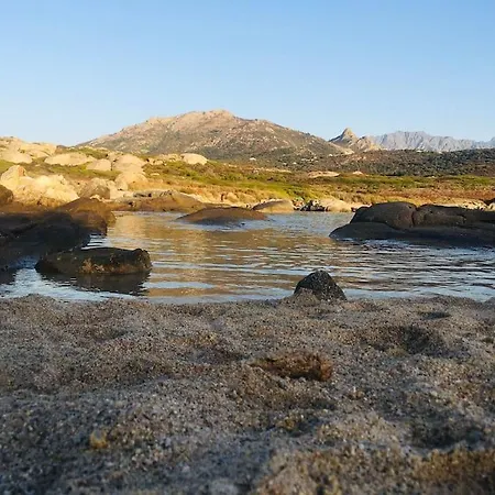 Beau Et Confortable 2 Pieces Vue Mer/maquis * Lumio (Corsica)