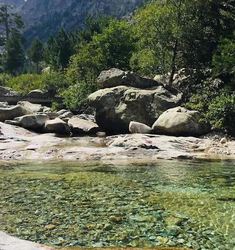 Beau Et Confortable 2 Pieces Vue Mer/maquis Appartement *