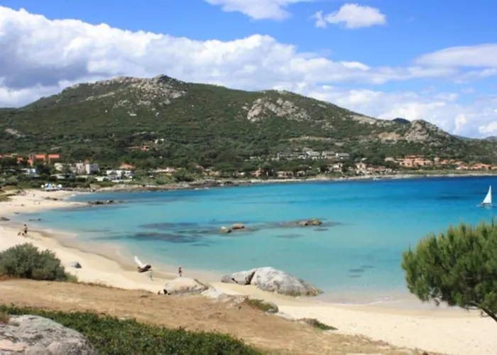 Appartement Beau Et Confortable 2 Pieces Vue Mer/maquis