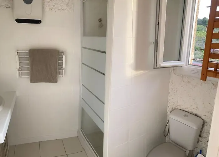 Beau Et Confortable 2 Pieces Vue Mer/maquis Appartement