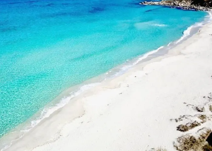 Appartement Beau Et Confortable 2 Pieces Vue Mer/maquis Lumio (Corsica)