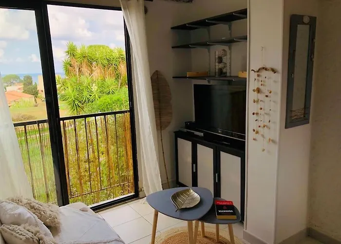 Beau Et Confortable 2 Pieces Vue Mer/maquis Lumio (Corsica)