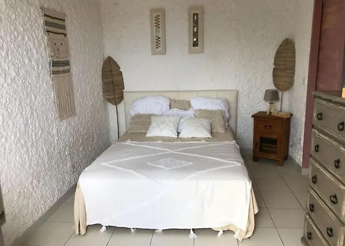 Appartement Beau Et Confortable 2 Pieces Vue Mer/maquis *